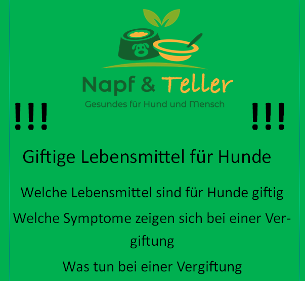 Screenshot 2024-01-20 105932.png